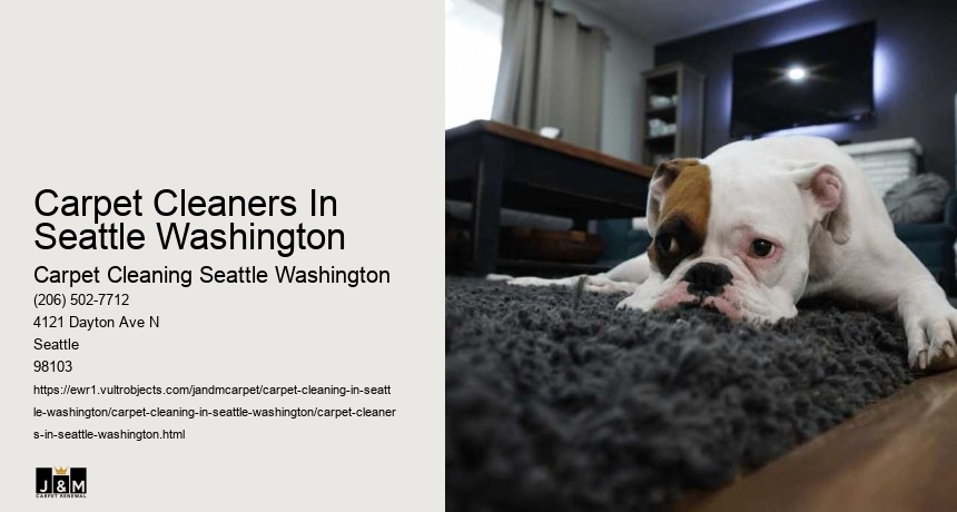 Carpet Cleaners In Seattle Washington