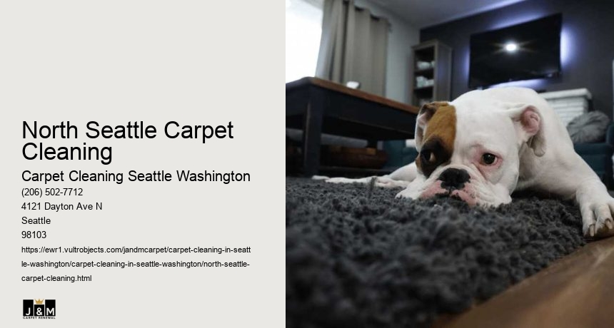 North Seattle Carpet Cleaning