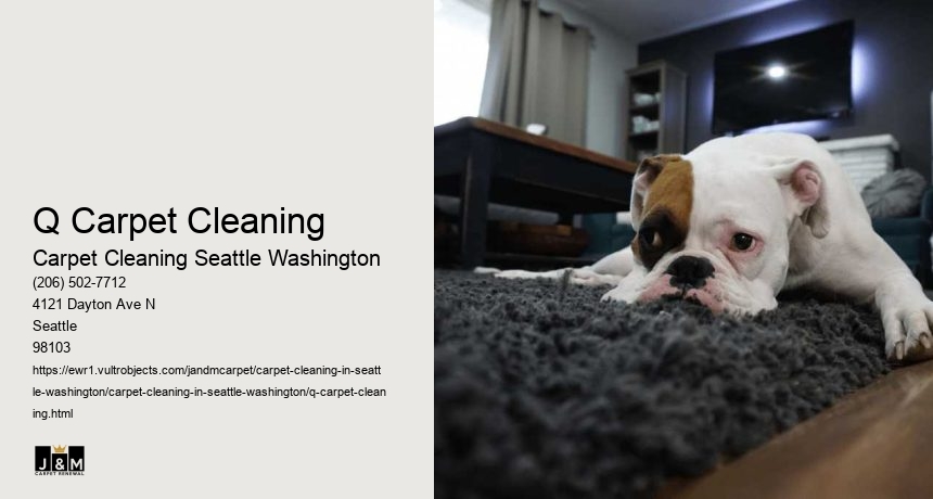 Q Carpet Cleaning