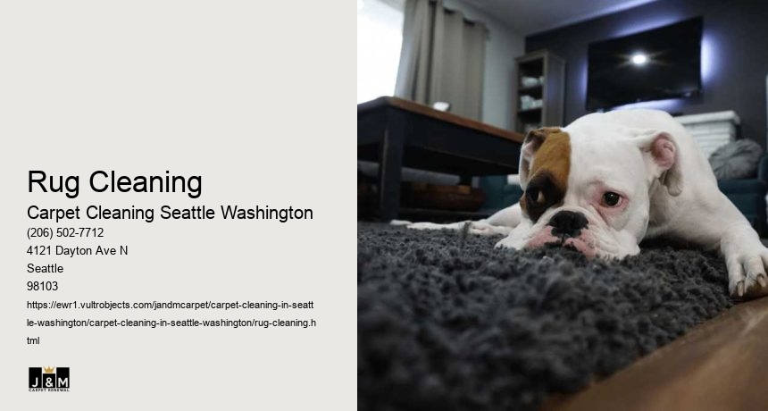Rug Cleaning