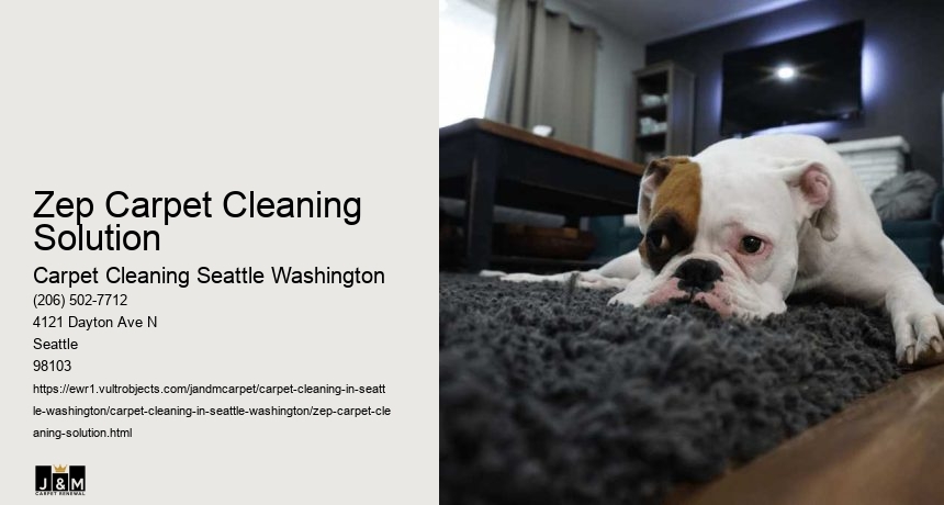 Zep Carpet Cleaning Solution