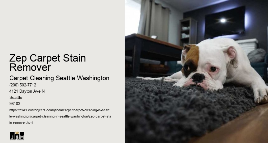 Zep Carpet Stain Remover