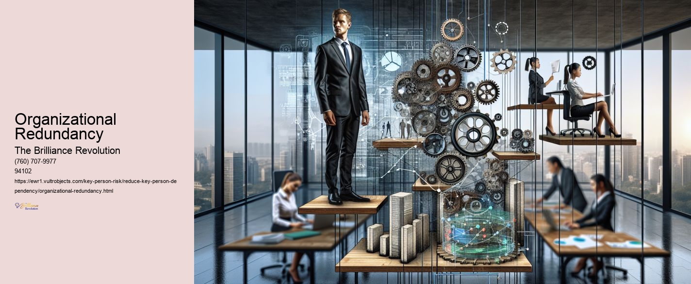 Organizational Redundancy