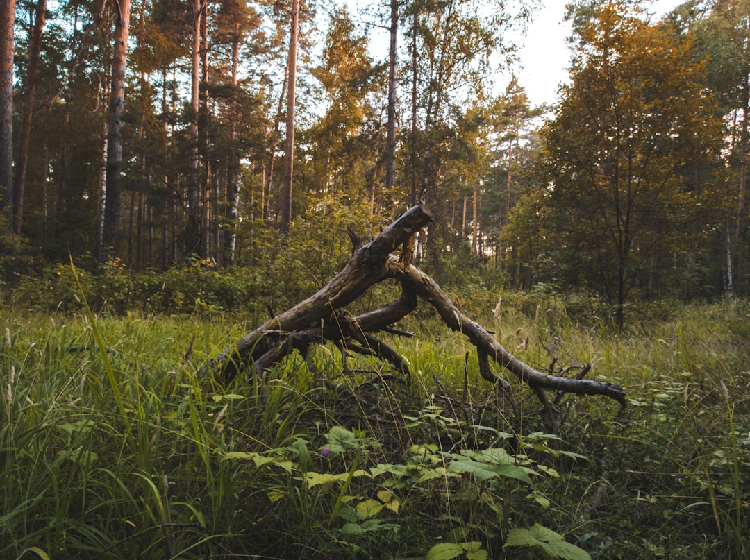 Rural land vs urban land