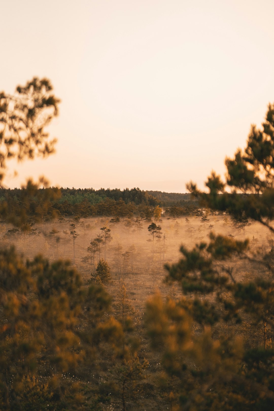 Future Prospects: Buying Wisconsin Land