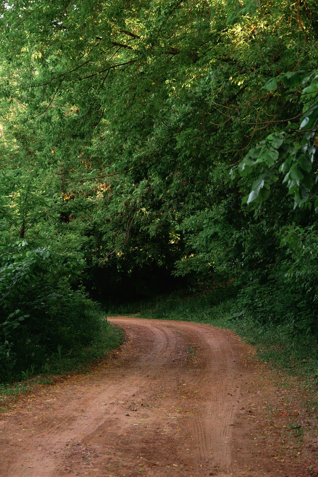 Future Prospects: Buying Wisconsin Land