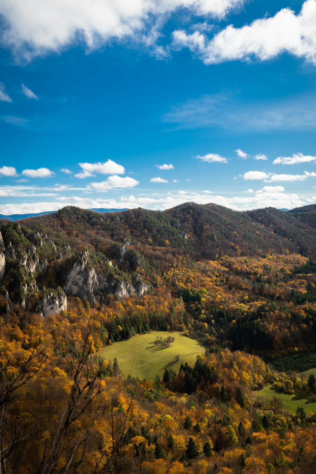 Future Potential Customers: Purchasing Wisconsin Land