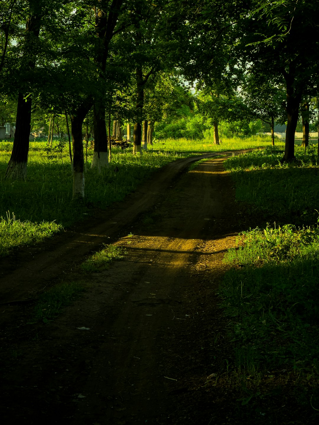 Future Prospects: Buying Wisconsin Land