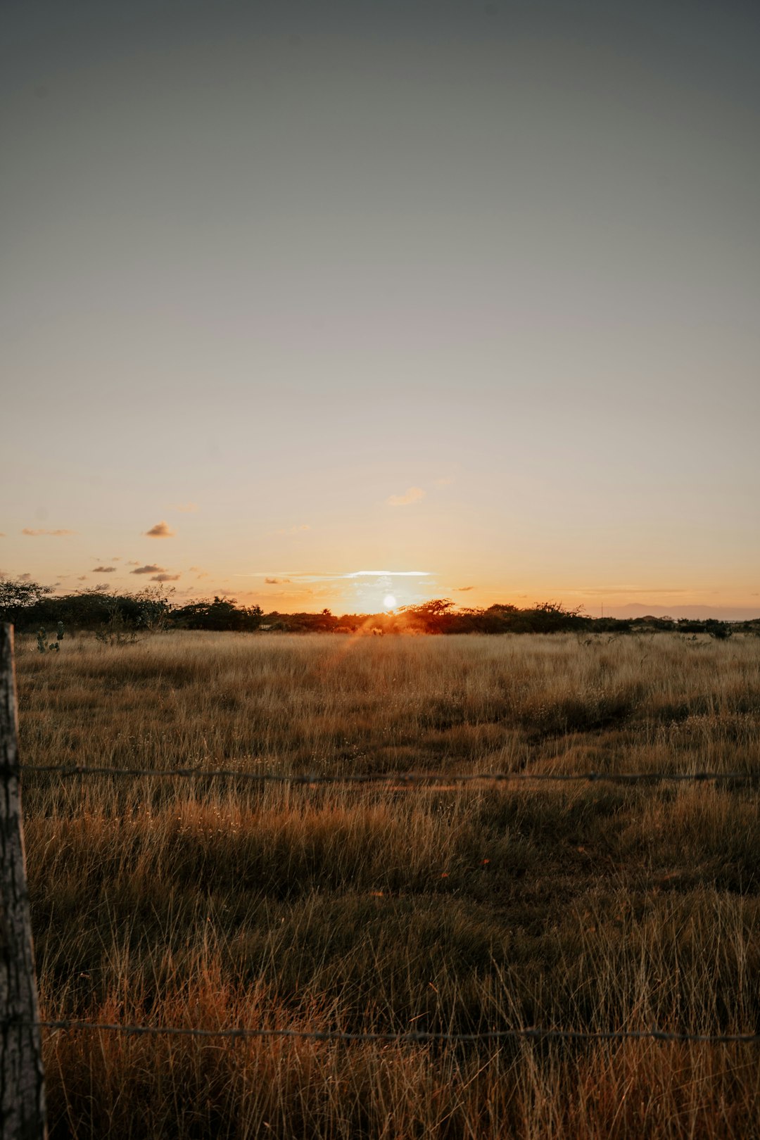 Advertising Your Land Effectively