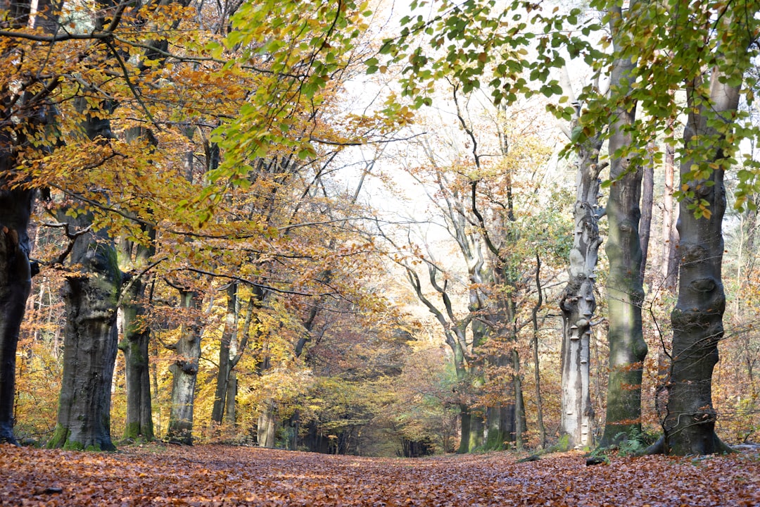 Seasonal effects on selling land