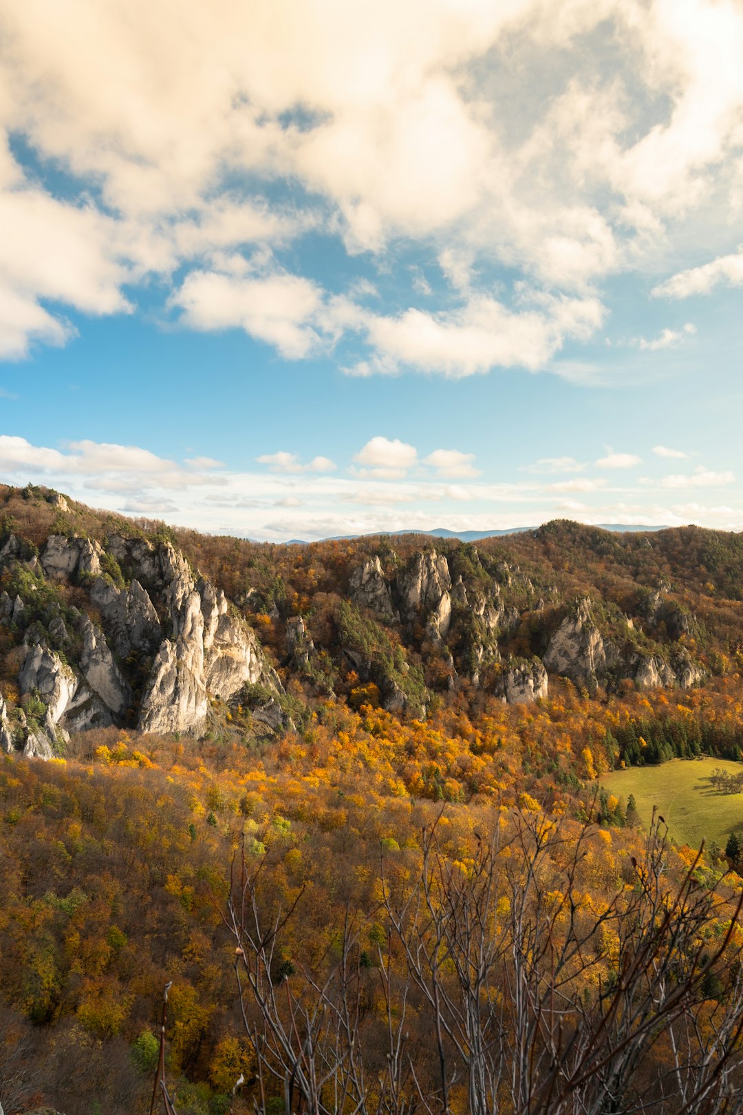 The Value of a Land Study in Maryland