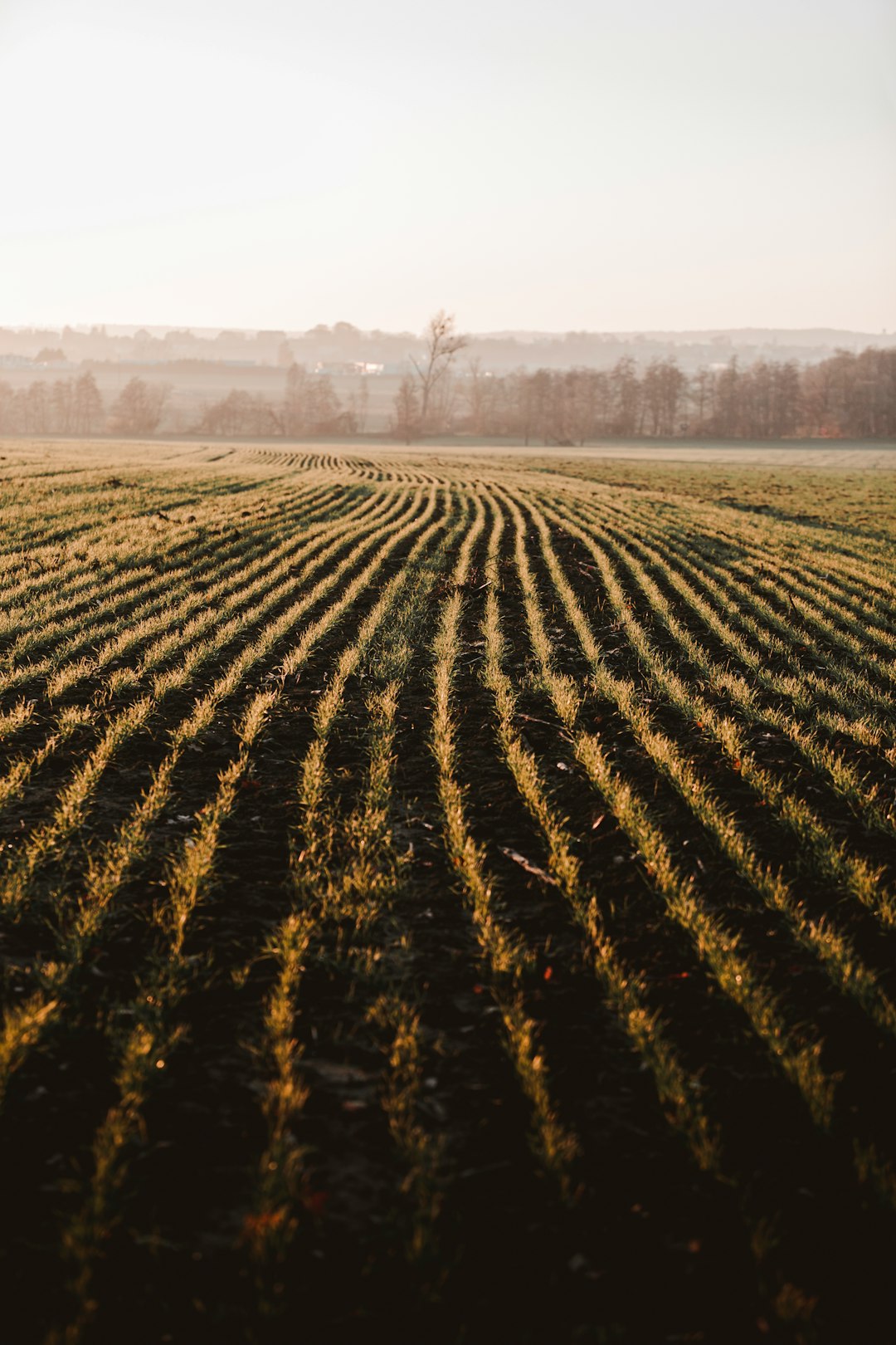 The Closing Process for Maryland Land