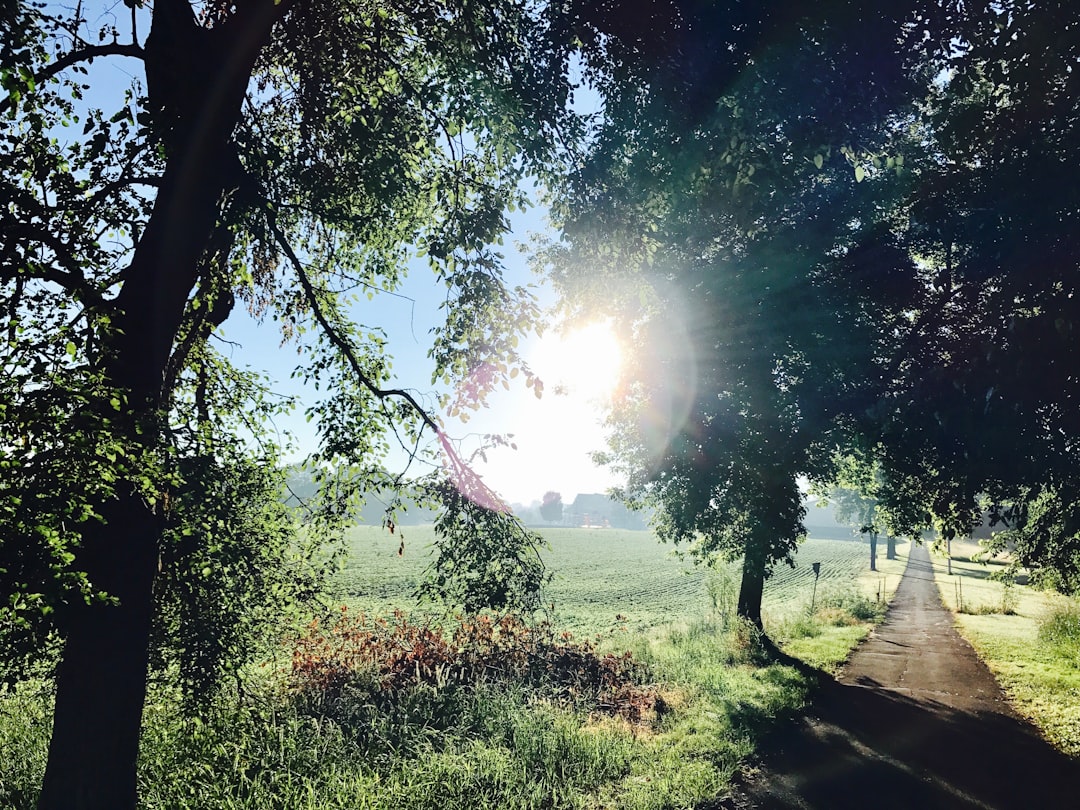 Vermont land buyer