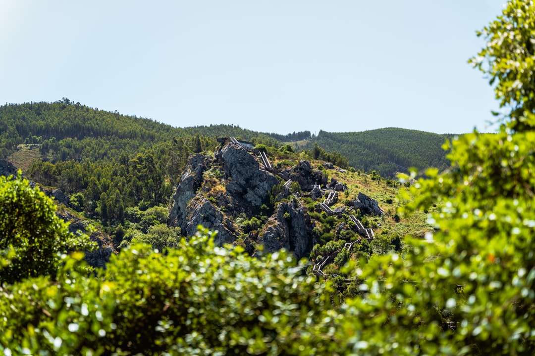 Process of selling land for cash in South Dakota