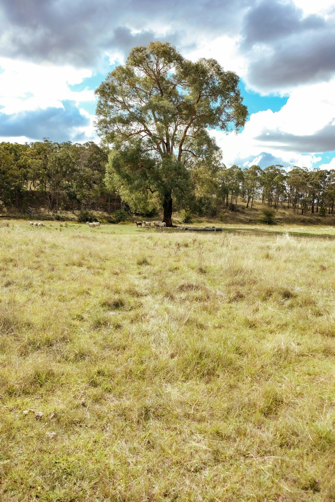 Preparing Your Land for a Money Sale