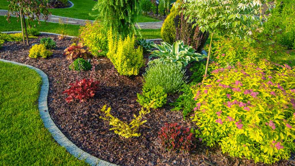 by design landscaping