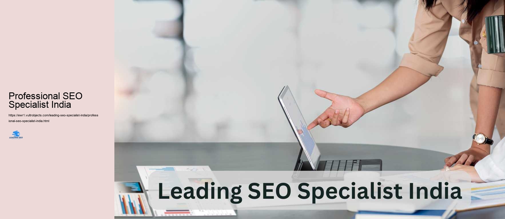 Professional SEO Specialist India