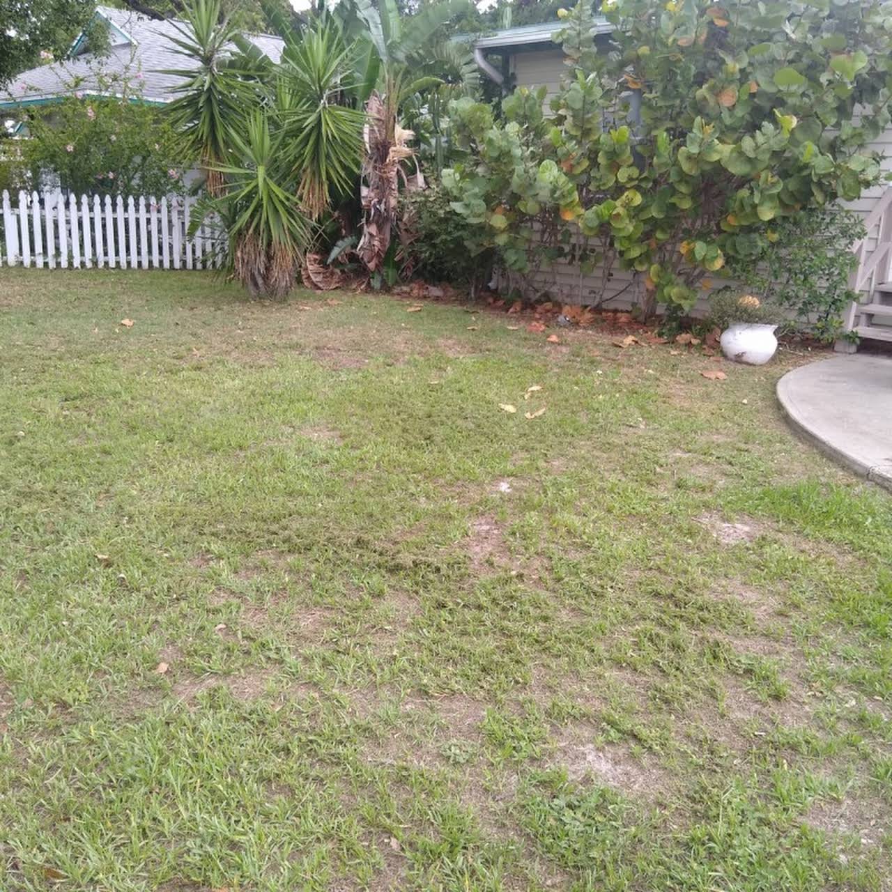 Leeds Tree Service Llc 07801