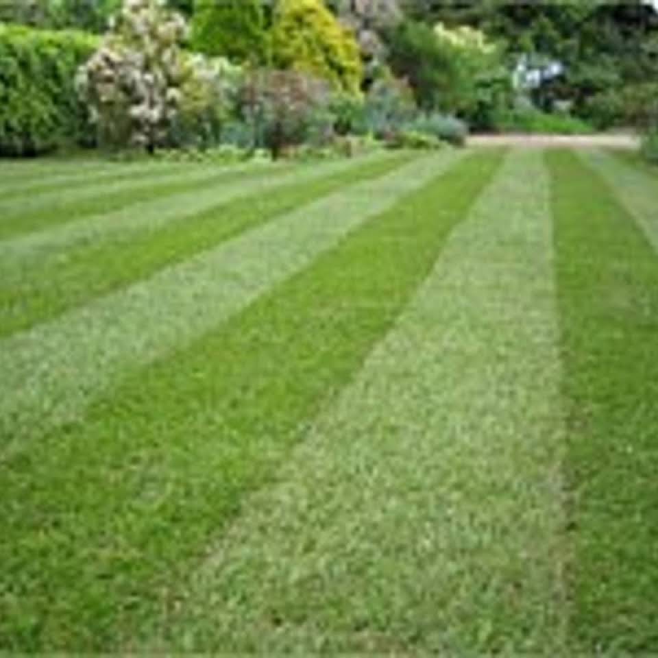 Leeds Tree Service Llc 30047