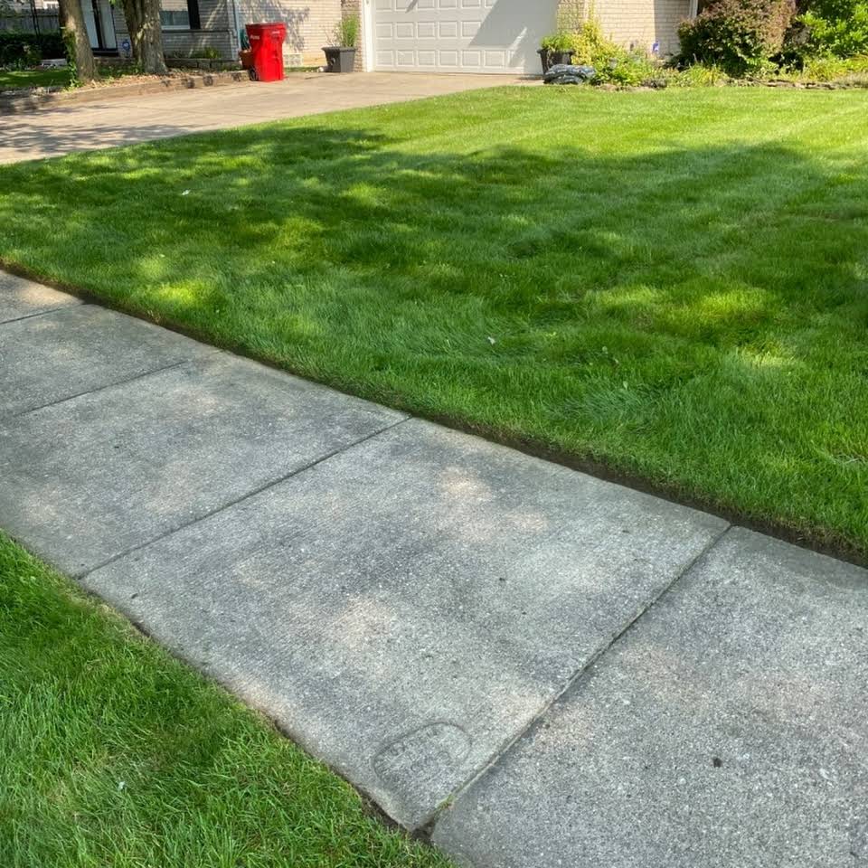 Cleds Tree Services Halifax Ma