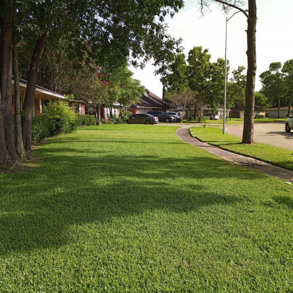 Leeds Tree Service Llc Group