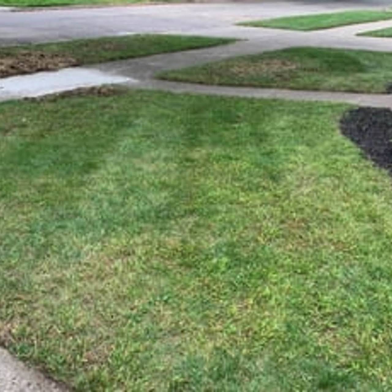Leeds Tree Service Llc Freeport Road Natrona Heights Pa