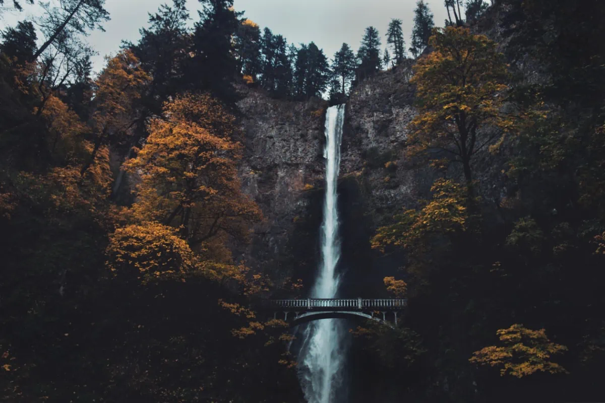 Common Types of Medical Malpractice Cases in Portland
