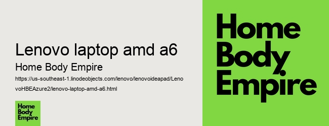 lenovo laptop amd a6