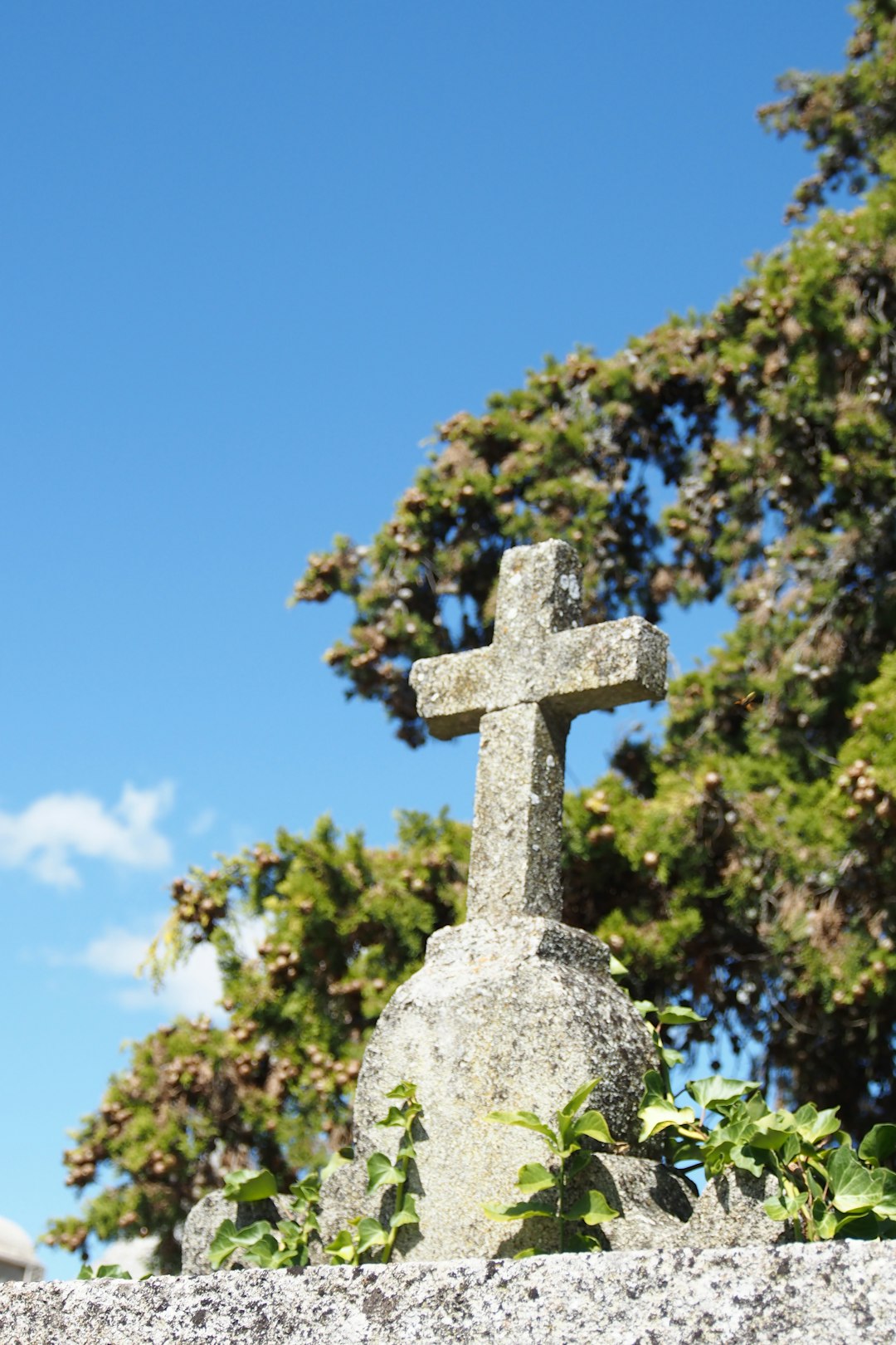 Common Causes of Wrongful Death Cases in Seattle