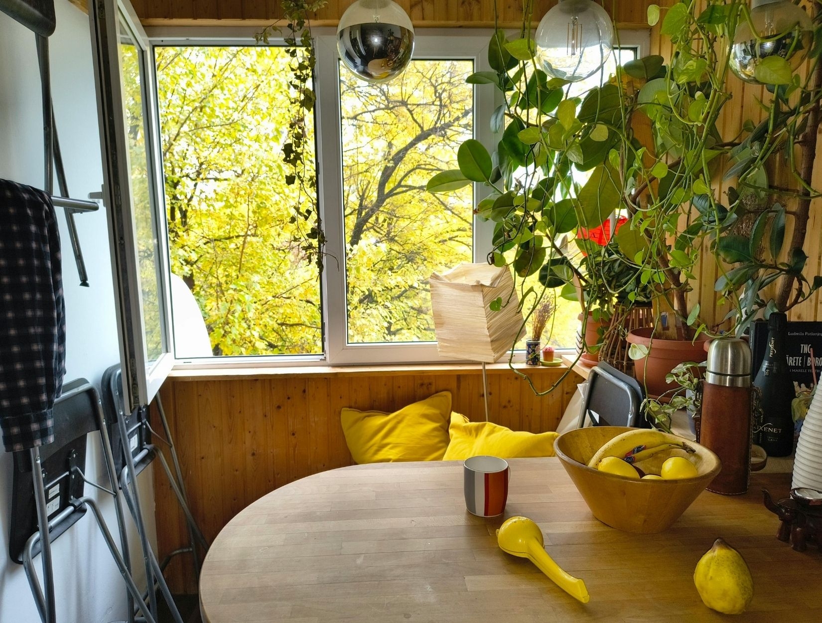 Local House Cleaning Services in Chicago, IL