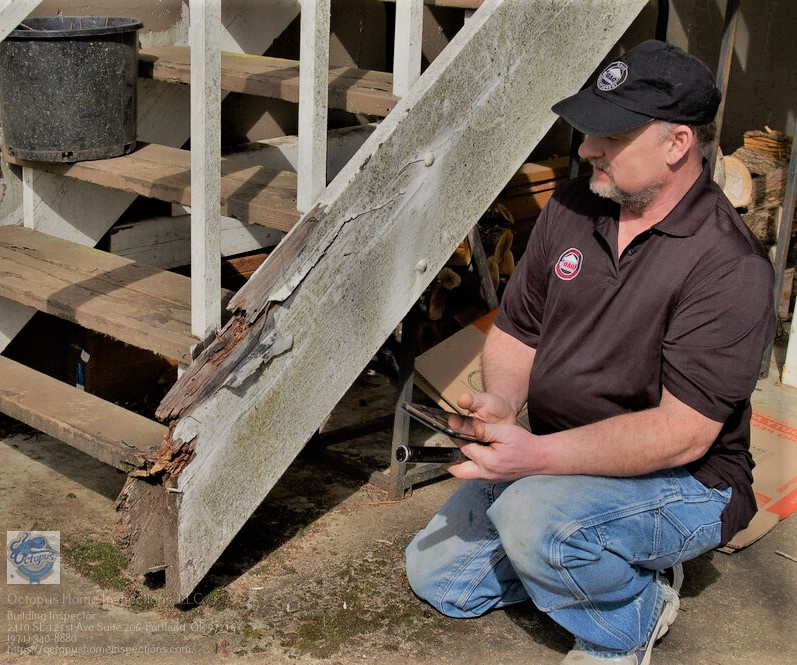 Mold Inspection and Testing