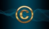 SCOTUS Rules That North Carolina is Protected from Copyright Infringement Claims by Sovereign Immunity