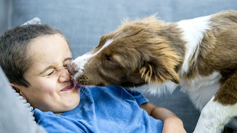 Quarantine the cat? Disinfect the dog? The latest advice about the coronavirus and your pets Quarantine the cat? Disinfect the dog? The latest advice about the coronavirus and your pets