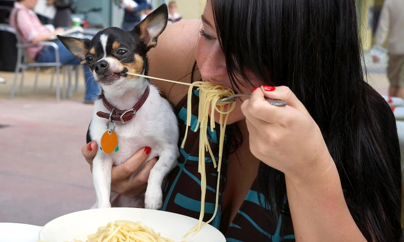 What`s the weirdest food your pet can`t get enough of?