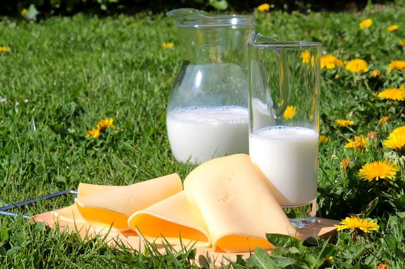 Dairy Products Associated With Increased Risk Of Cancer, Explain Researchers