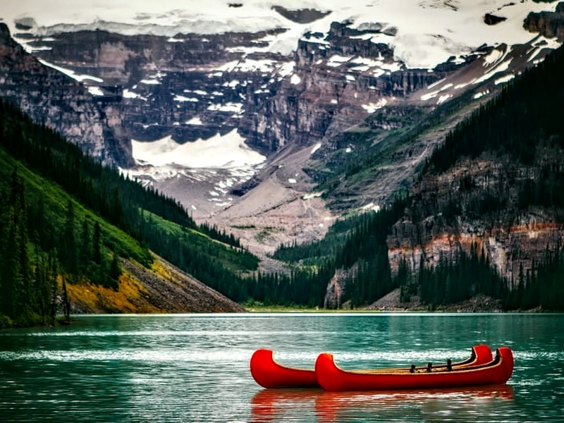 Why start a food business in Canada? Why start a food business in Canada?