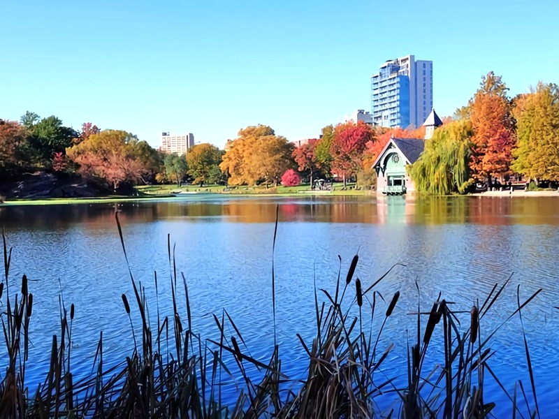 How to obtain a business visa for Canada? How to obtain a business visa for Canada?