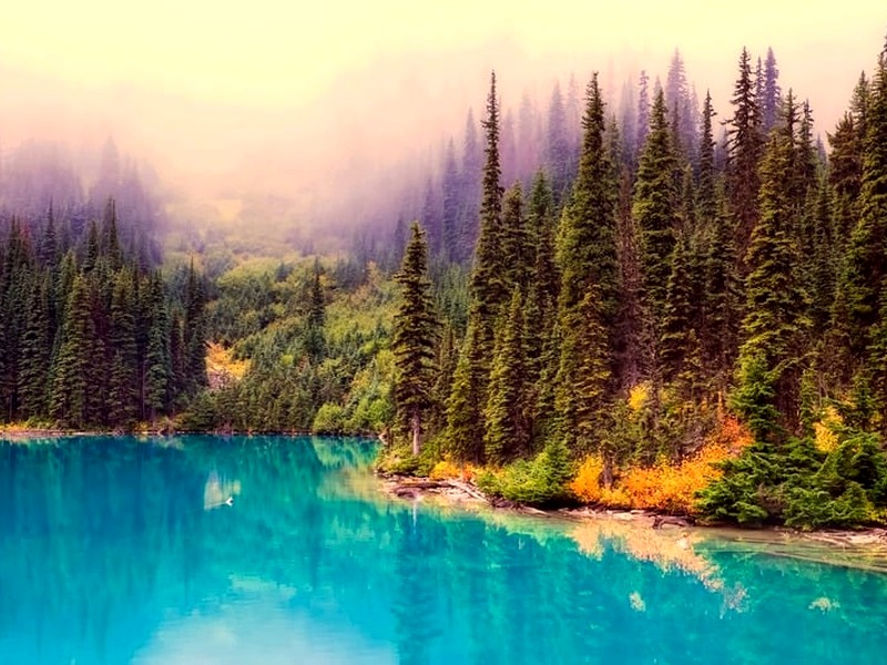 Why set up a subsidiary in Canada? Why set up a subsidiary in Canada?