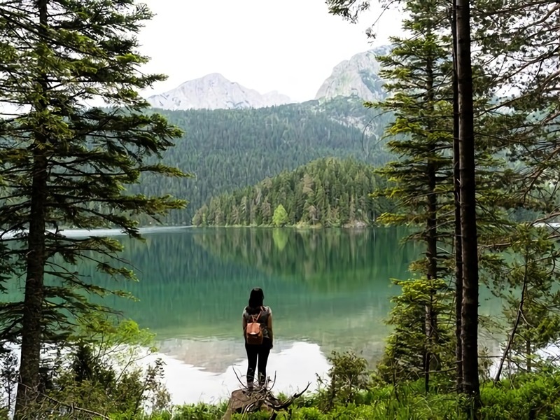Where to find Canadian business podcasts? Where to find Canadian business podcasts?