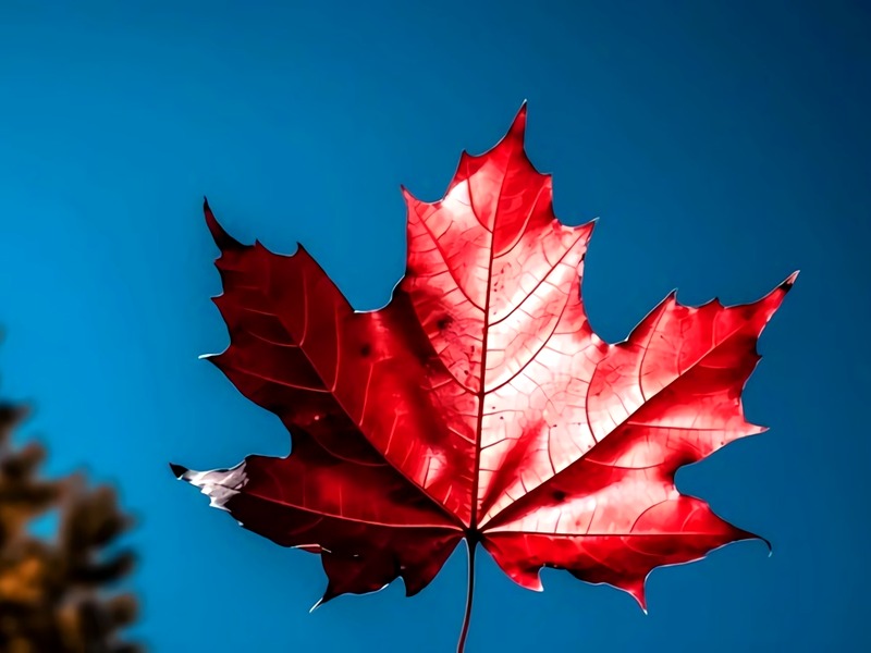 Where to find Canadian trade associations? Where to find Canadian trade associations?