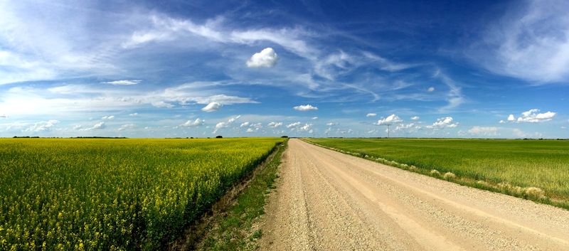 Is it better to start a business in Canada or America? Is it better to start a business in Canada or America?