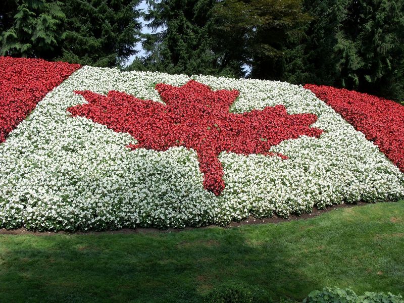 What is in demand in Canada?