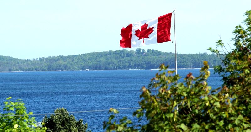 What is the most profitable business in Canada? What is the most profitable business in Canada?