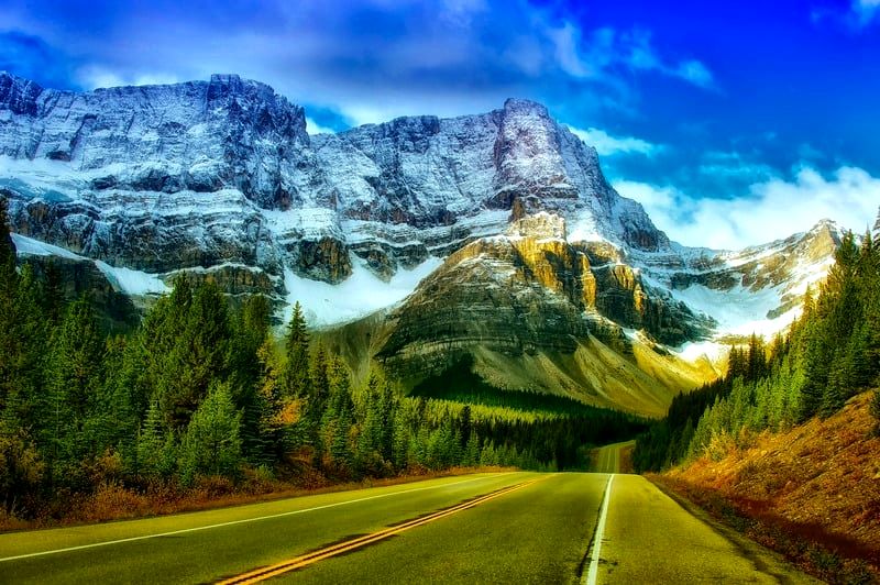 What 3 cities do most immigrants move to in Canada?