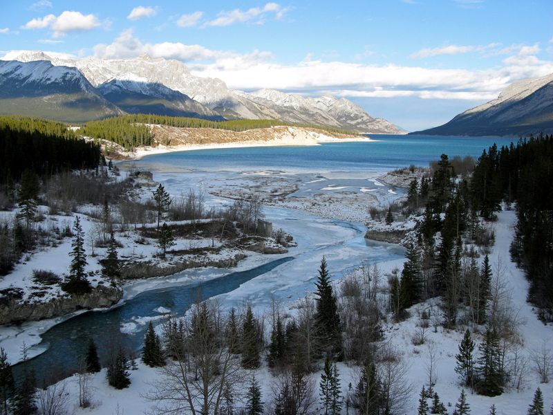 Which sector is booming in Canada? Which sector is booming in Canada?