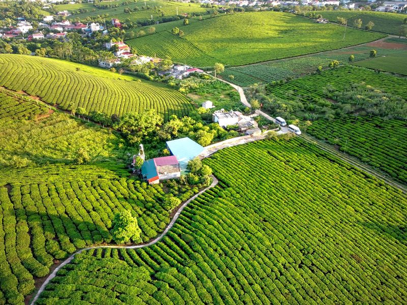 What is the best method of farming? What is the best method of farming?