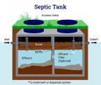 Can you put too much bacteria in a septic tank?