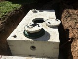 How do I keep good bacteria in my septic tank?