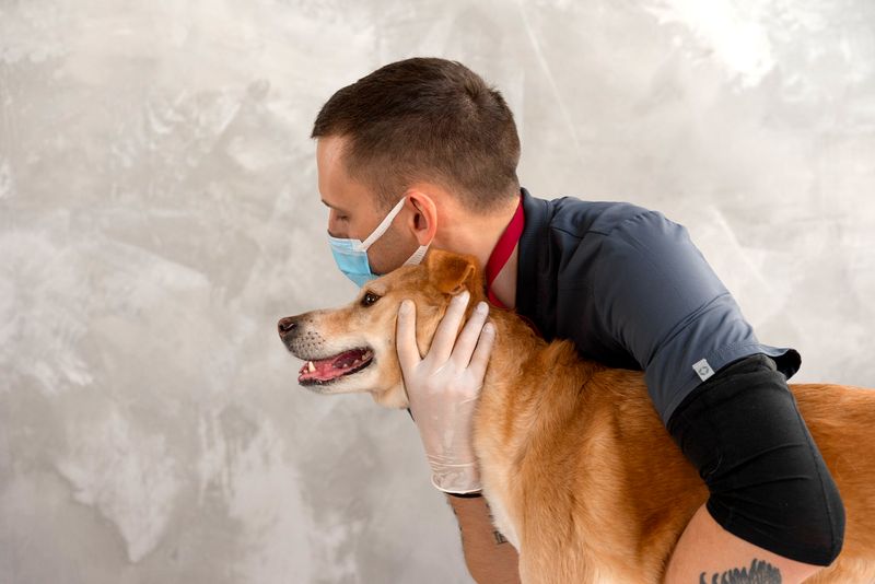 What is the number 1 killer in dogs? What is the number 1 killer in dogs?