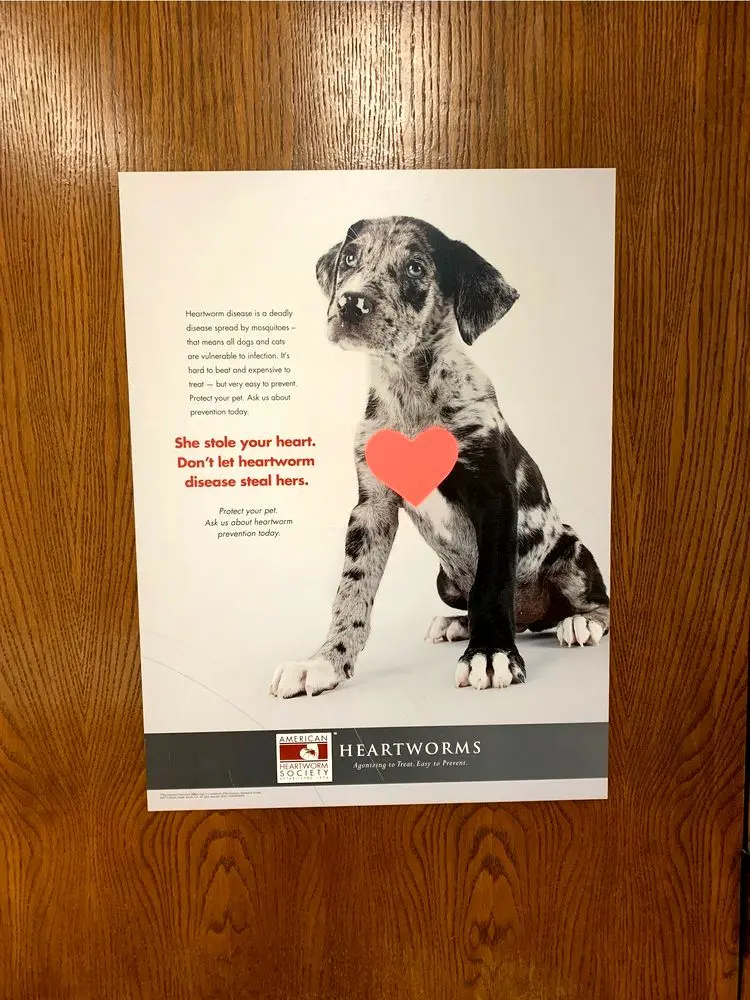 Ambassador Animal Hospital PC